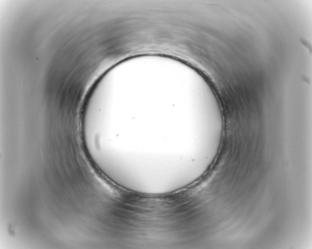 X0000093231517200710241226