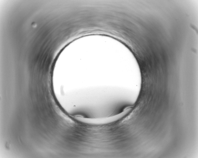 X0000093231518200710241226