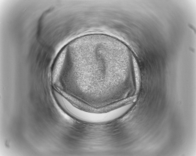 X0000093231519200710241226