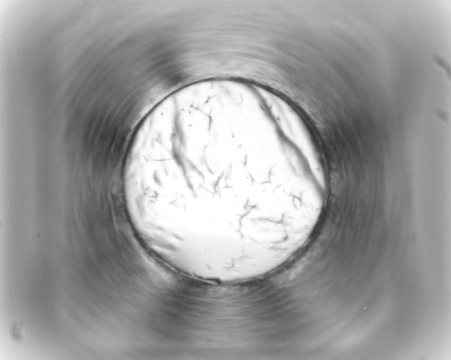 X0000093231521200710241226
