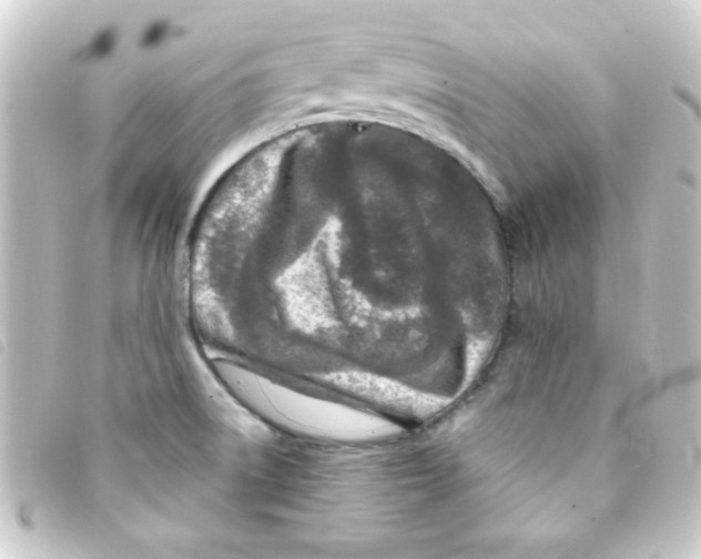 X0000093231522200710241226