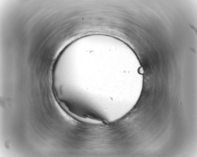 X0000093231523200710241226