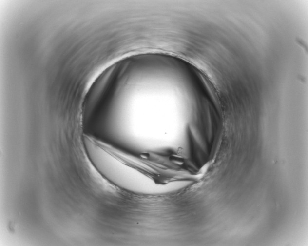 X0000093231524200710241226