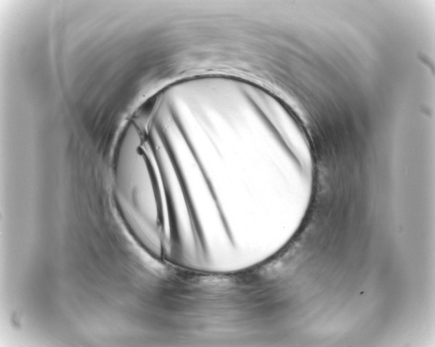 X0000093231525200710241226