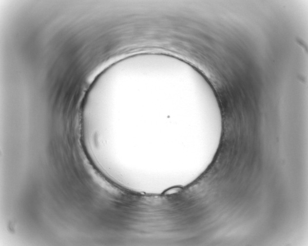 X0000093231526200710241226