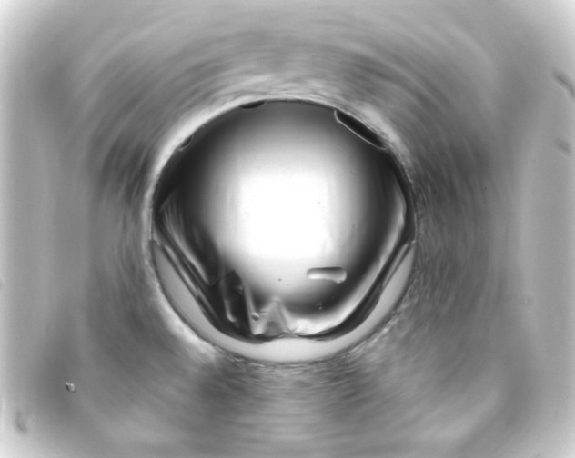 X0000093231528200710241226