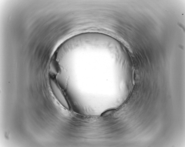 X0000093231530200710241226