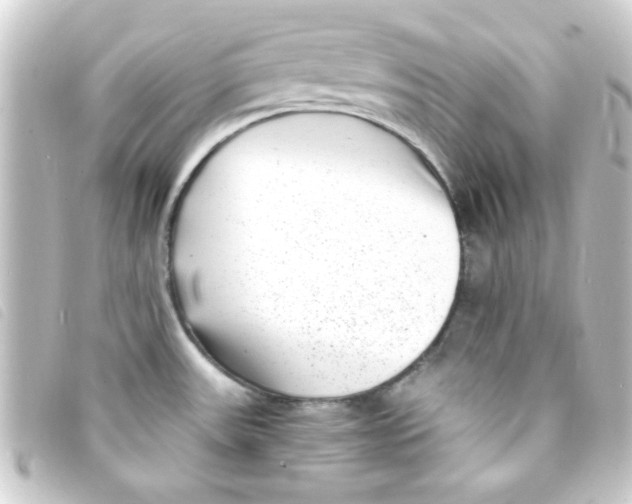 X0000093231531200710241226