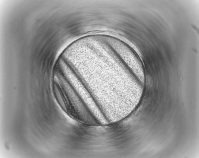 X0000093231533200710241226