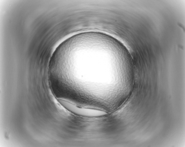 X0000093231534200710241226