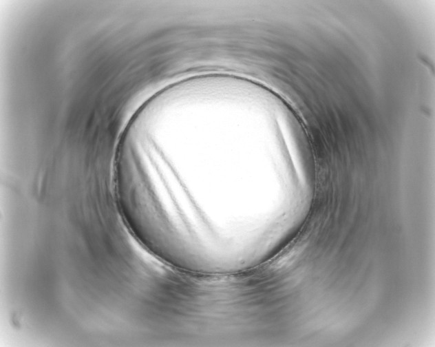 X0000093231535200710241226