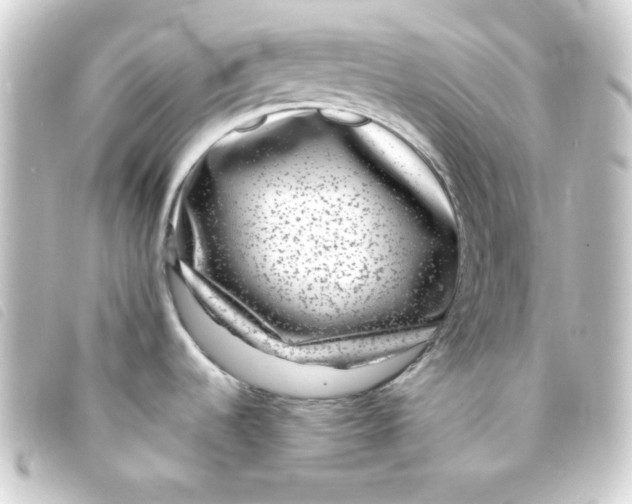 X0000093231536200710241226