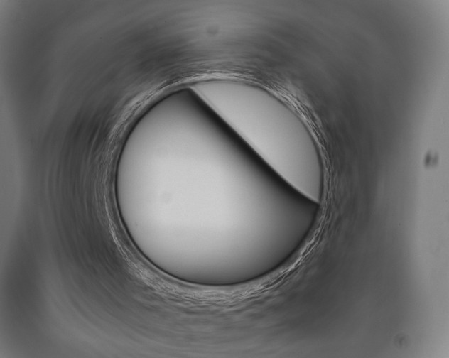 X0000093240001200709261540