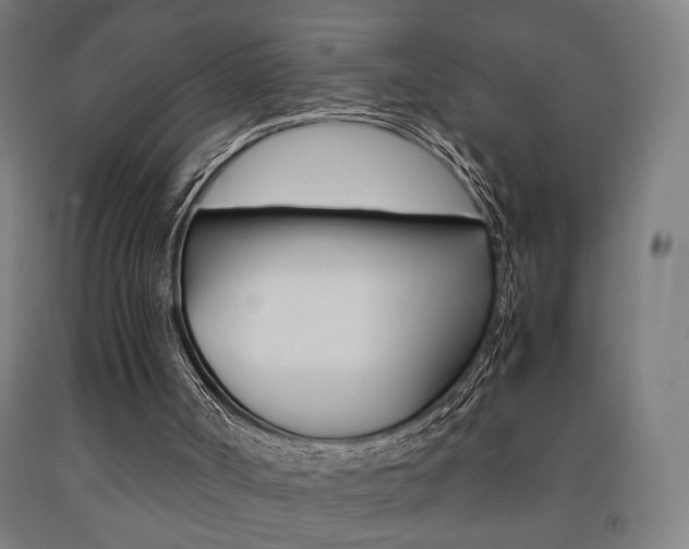 X0000093240002200709261540