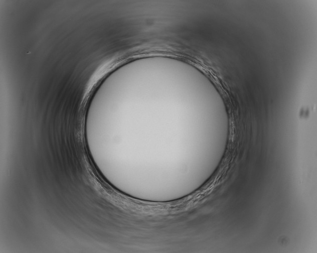 X0000093240004200709261540