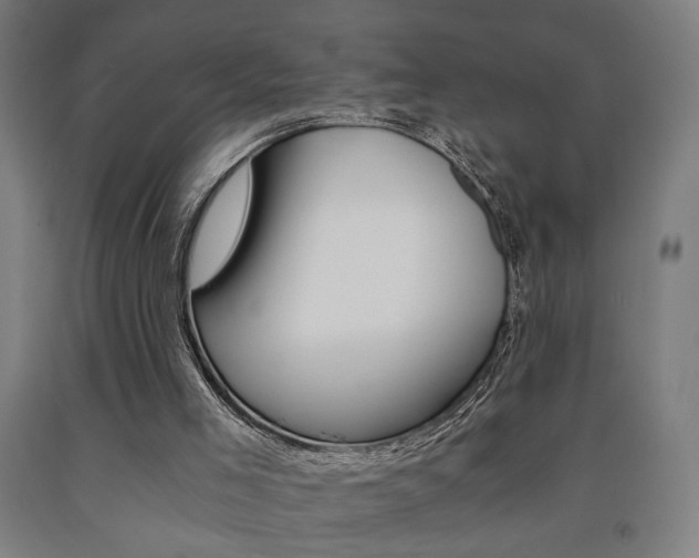 X0000093240005200709261540