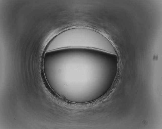 X0000093240007200709261540