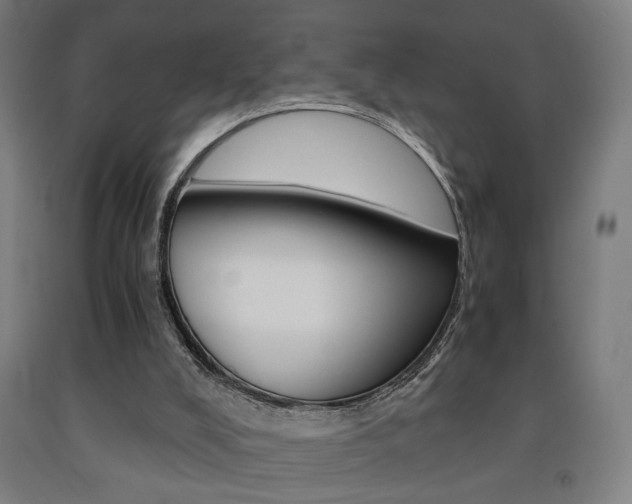 X0000093240008200709261540