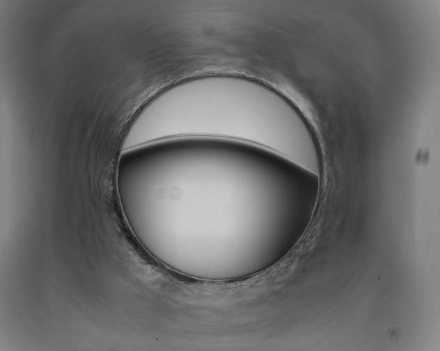 X0000093240009200709261540