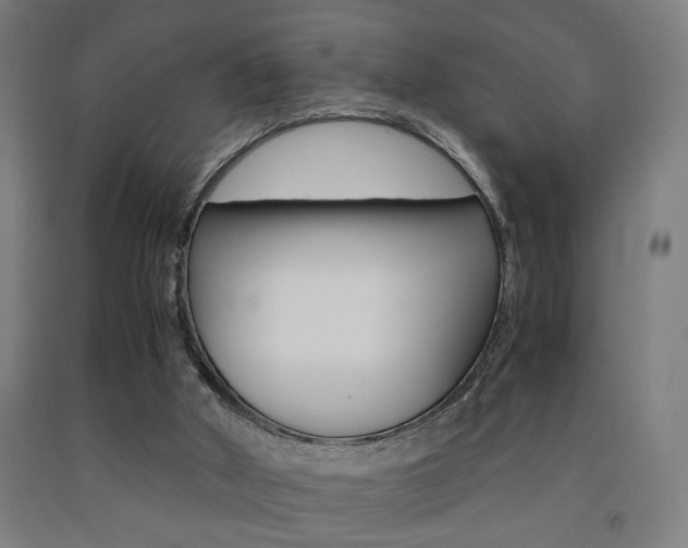 X0000093240010200709261540