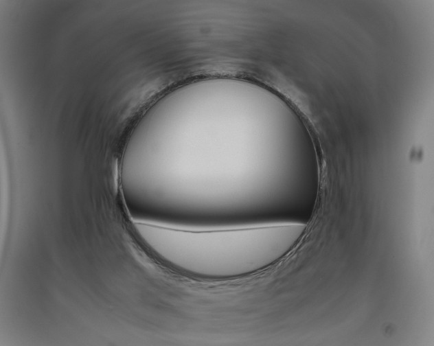 X0000093240013200709261540
