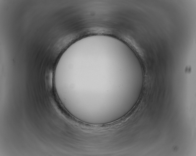 X0000093240014200709261540