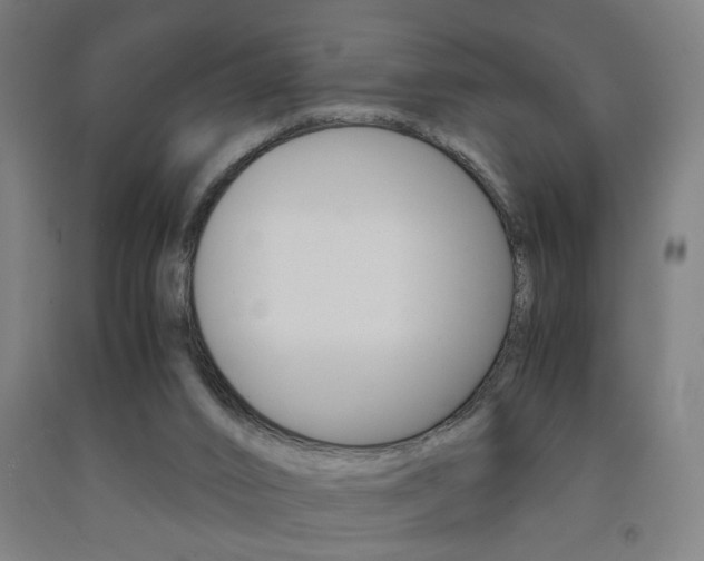 X0000093240016200709261540