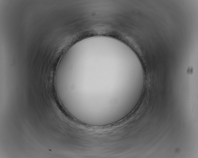 X0000093240018200709261540