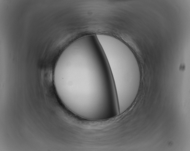 X0000093240021200709261540