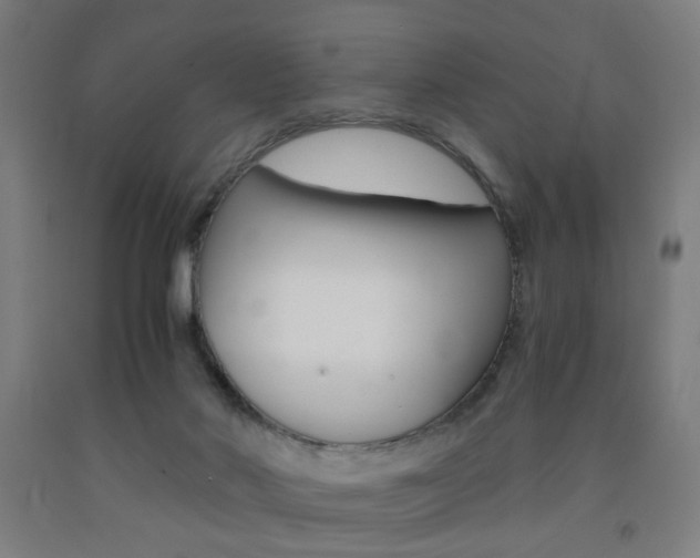 X0000093240022200709261540