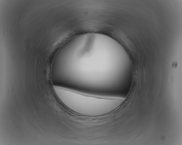 X0000093240023200709261540