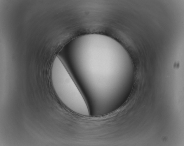 X0000093240025200709261540