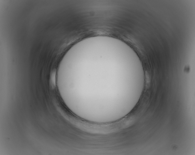 X0000093240028200709261540