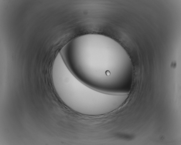 X0000093240029200709261540