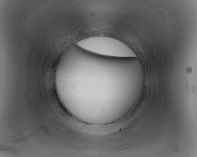 X0000093240030200709261540