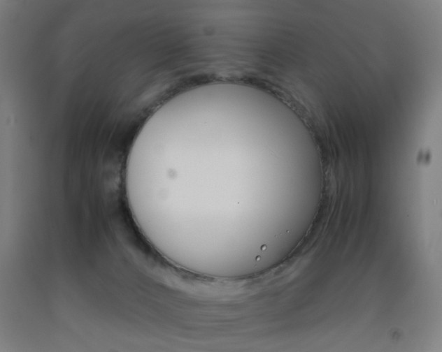 X0000093240032200709261539