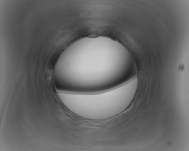 X0000093240033200709261539