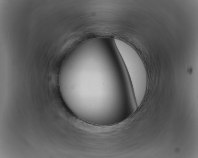 X0000093240035200709261539