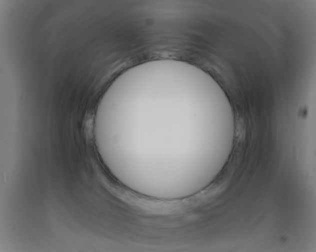 X0000093240036200709261539