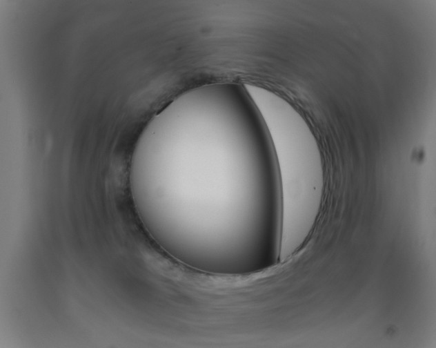X0000093240037200709261539
