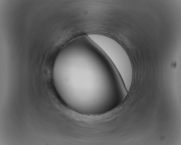 X0000093240039200709261539
