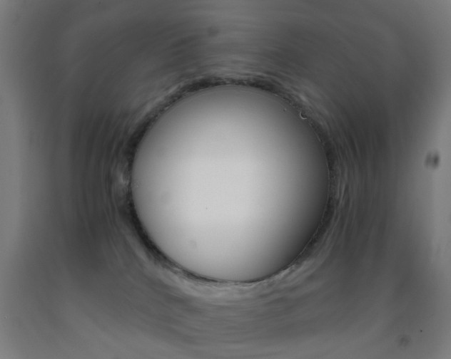 X0000093240040200709261539