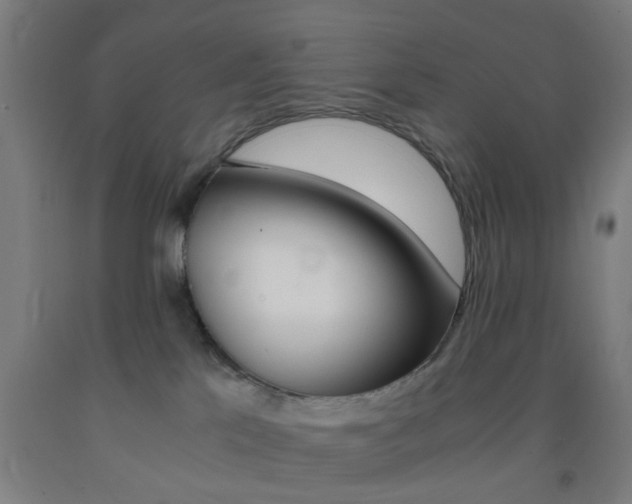 X0000093240041200709261539
