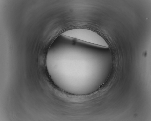 X0000093240044200709261539