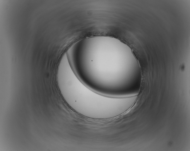 X0000093240045200709261539