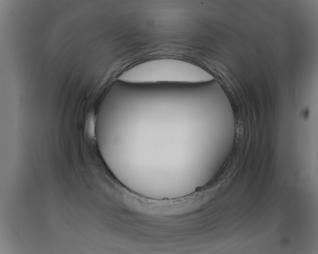 X0000093240046200709261539