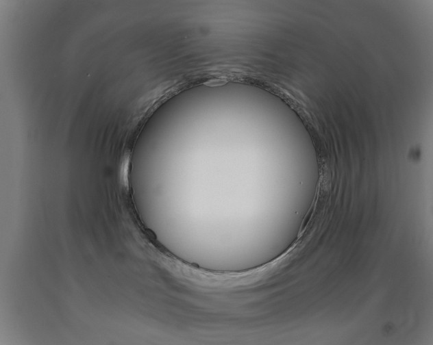 X0000093240047200709261539