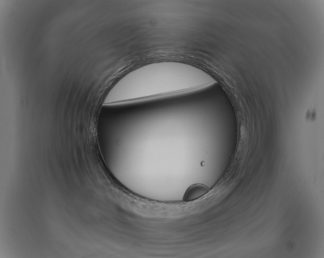 X0000093240048200709261539