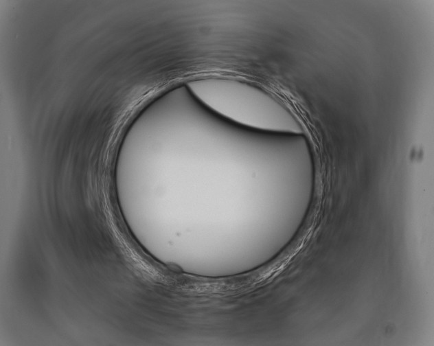 X0000093240049200709261539