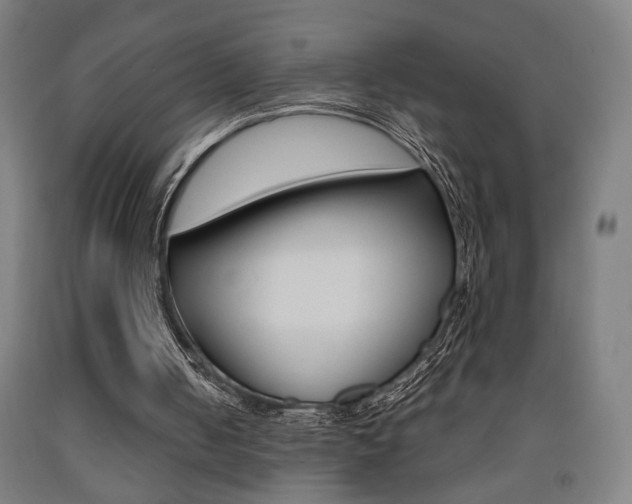 X0000093240050200709261539